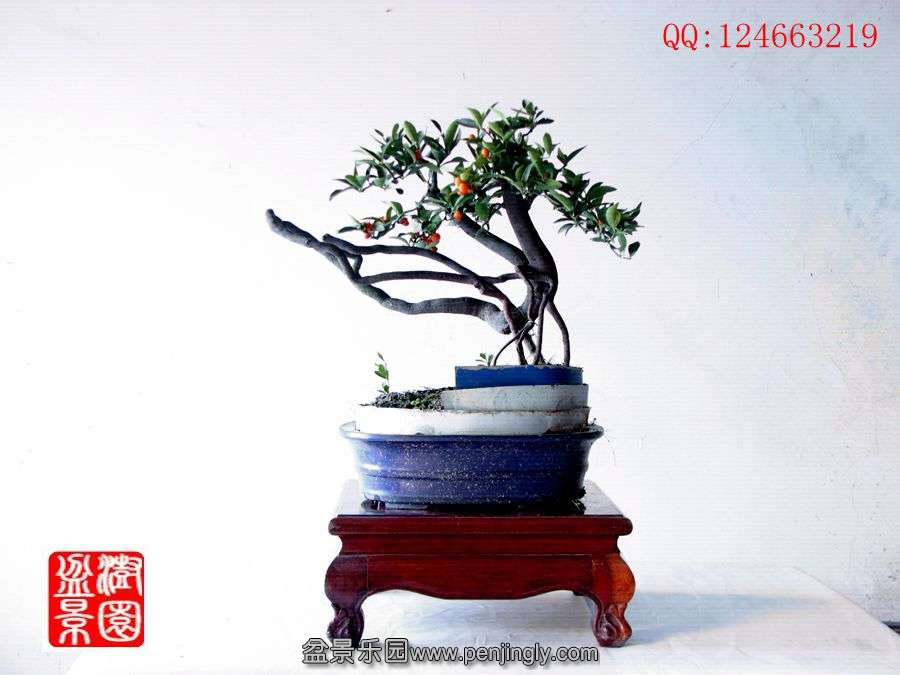 IMG_1115__.jpg