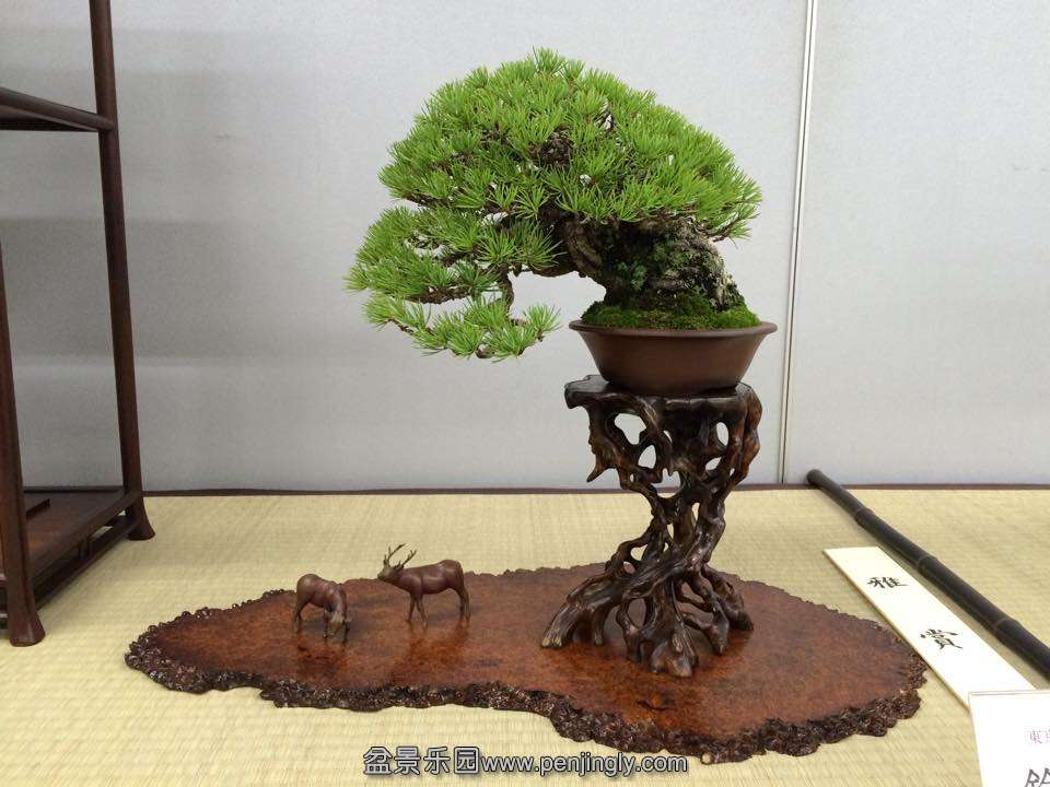 image (11).jpg