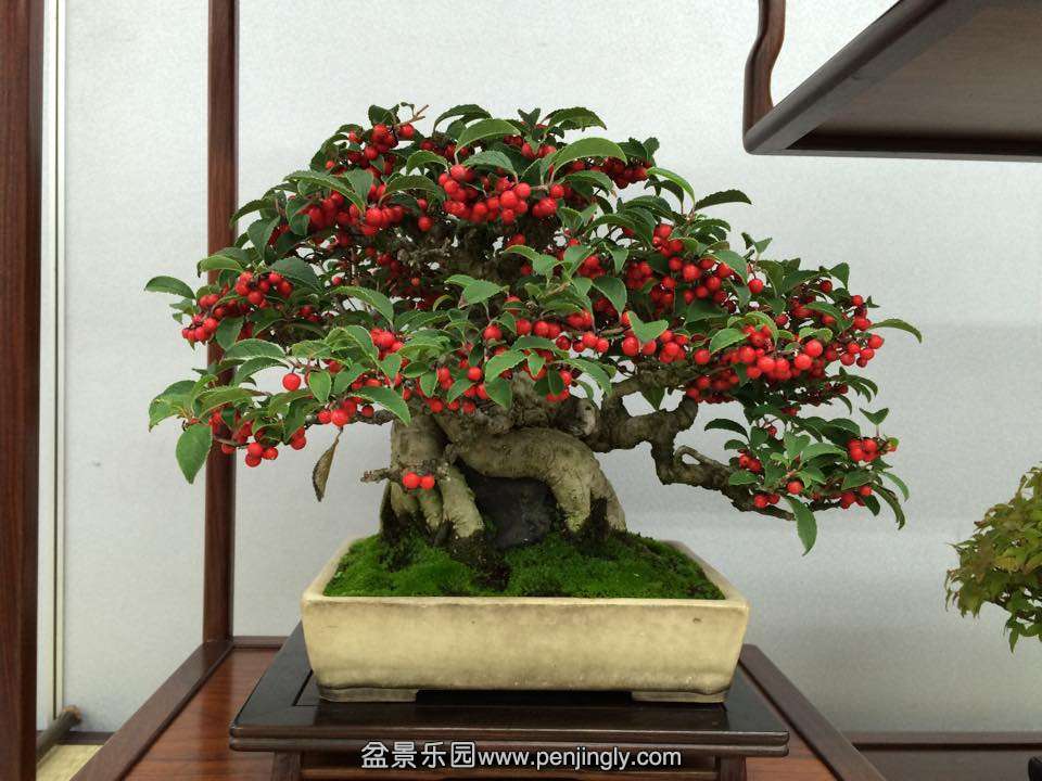image (15).jpg
