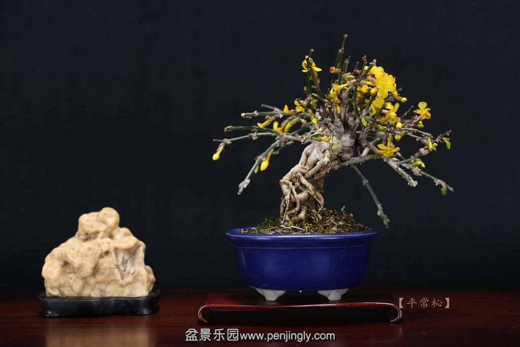 2015-02-11 2015-02-1121.jpg