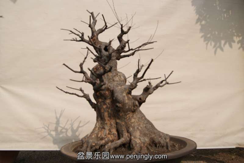޼-4.jpg