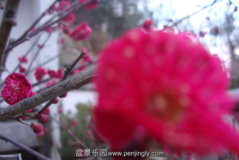 DSC03079_.jpg