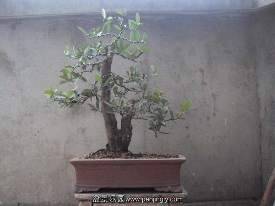DSC04264.JPG