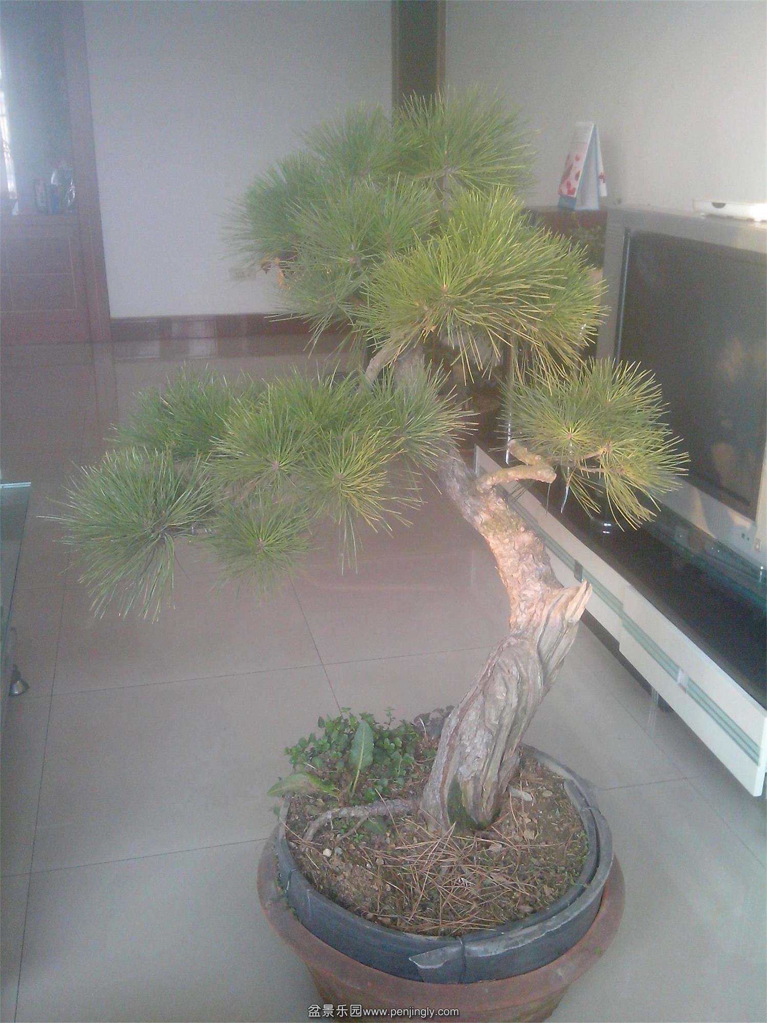 IMG20150213004.jpg