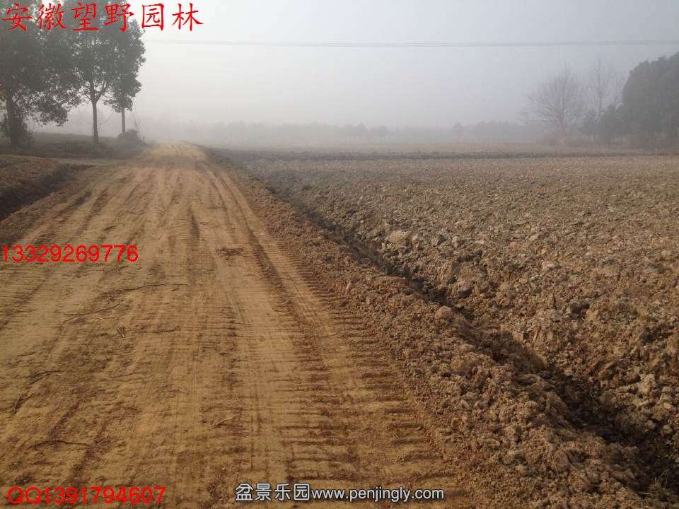 D283C9A97BFE869CD2B59BB71A1DEBD2.jpg