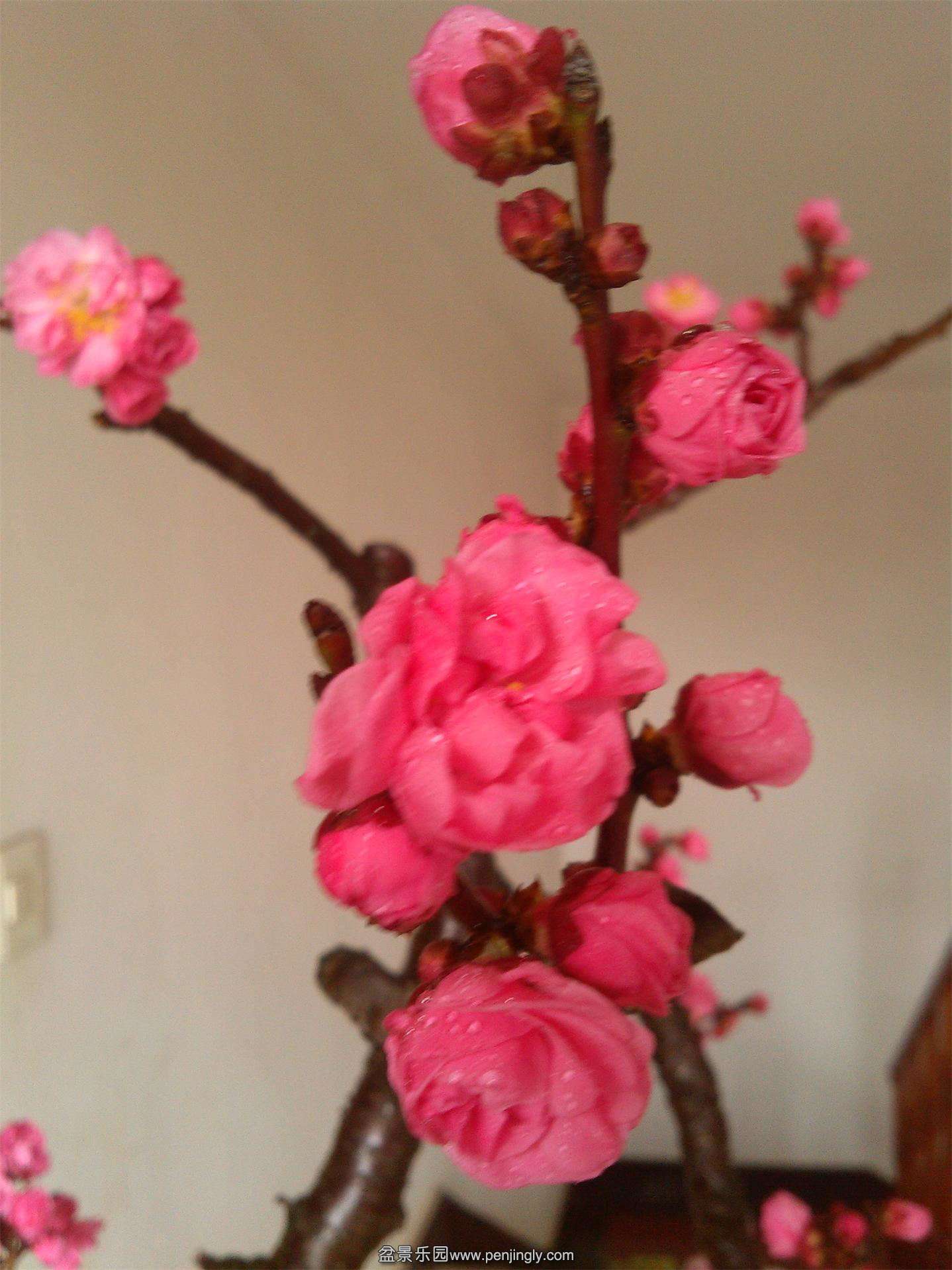 ÷׮75IMG_20150216_140249_ͼ.jpg