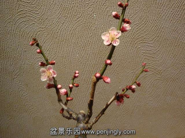 DSC00217.JPG