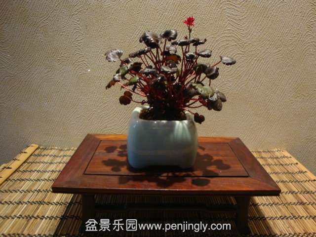DSC00208.JPG