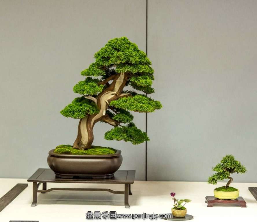 image (1).jpg