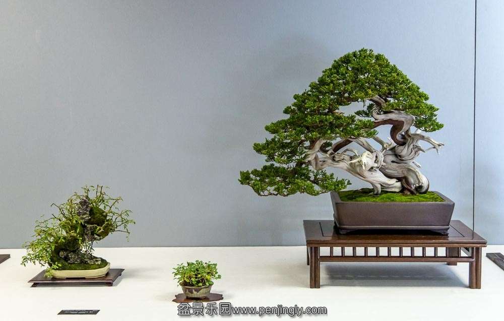 image (10).jpg