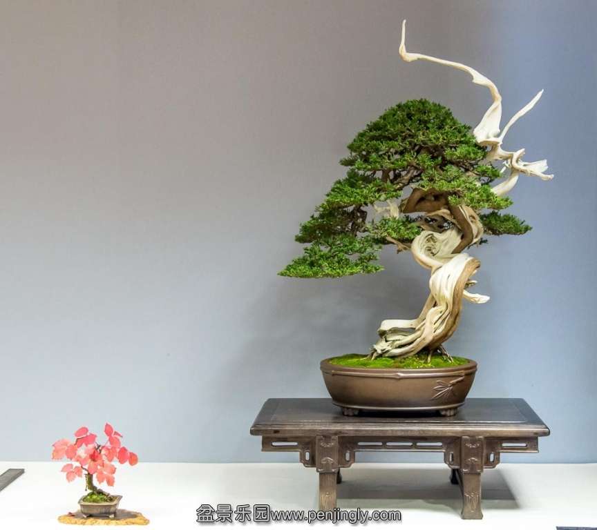 image (11).jpg