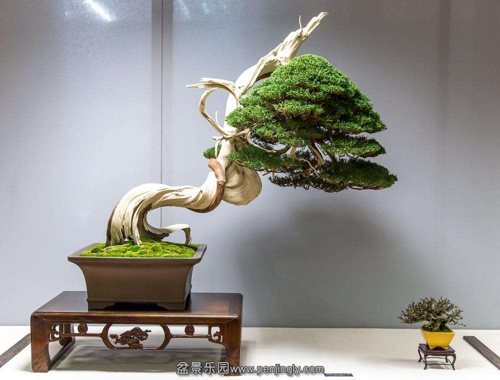image (15).jpg