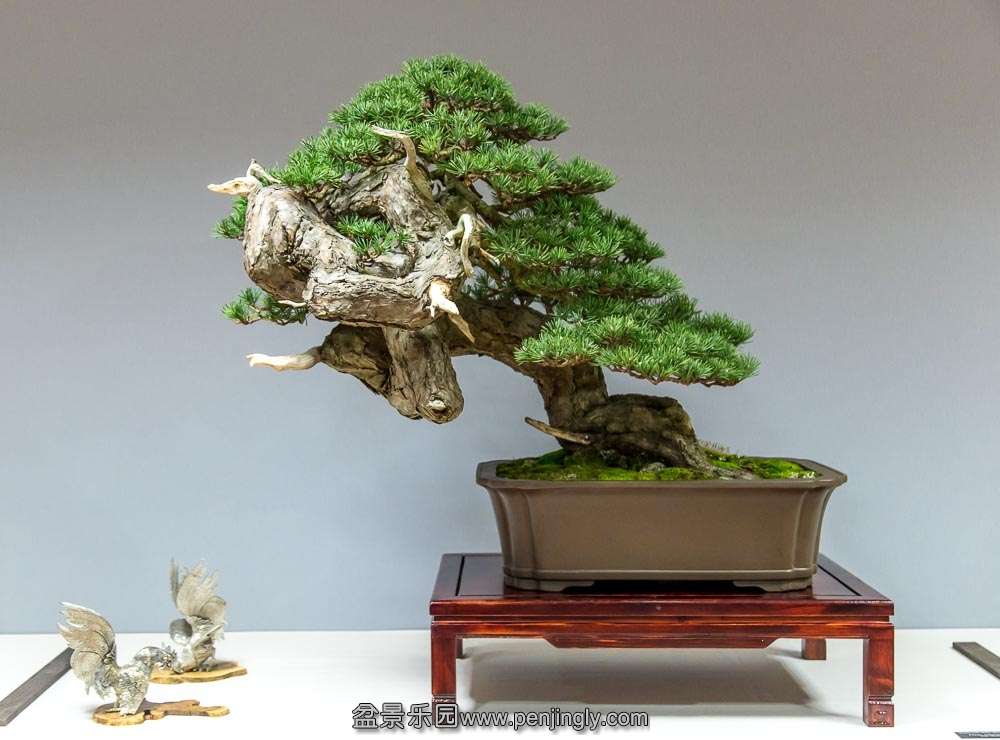 image (18).jpg