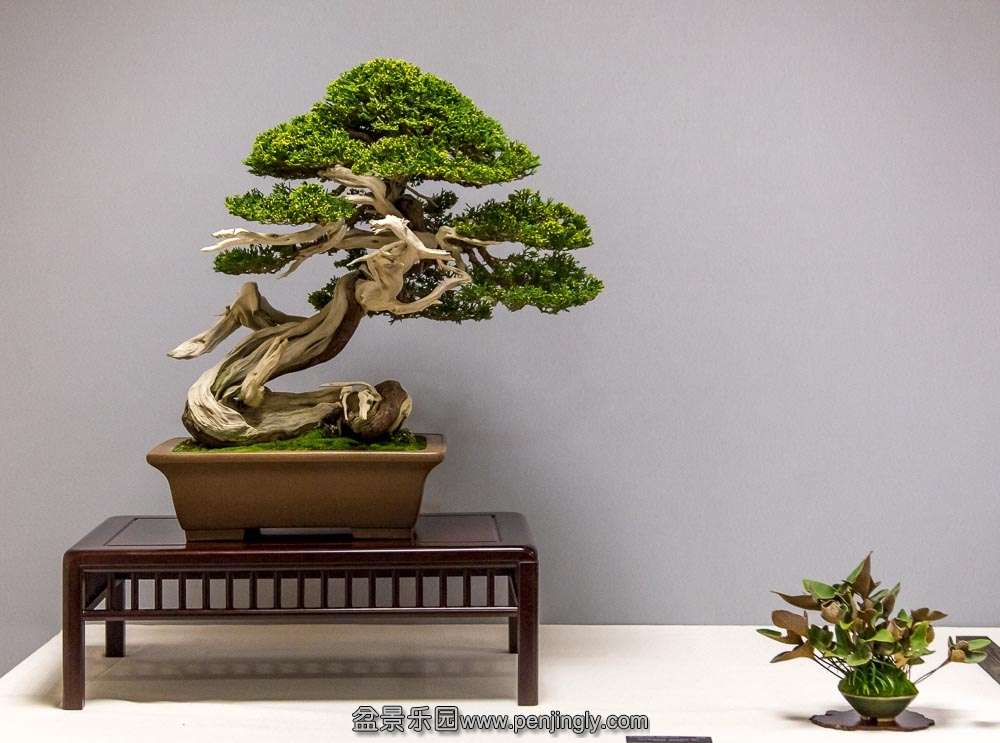 image (20).jpg