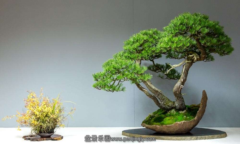 image (24).jpg