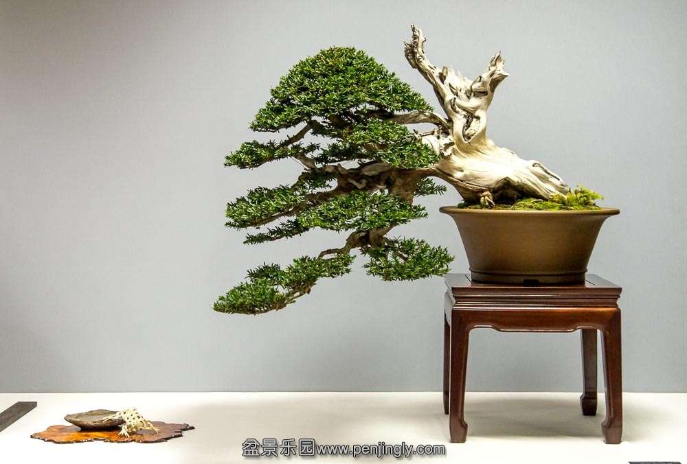 image (22).jpg