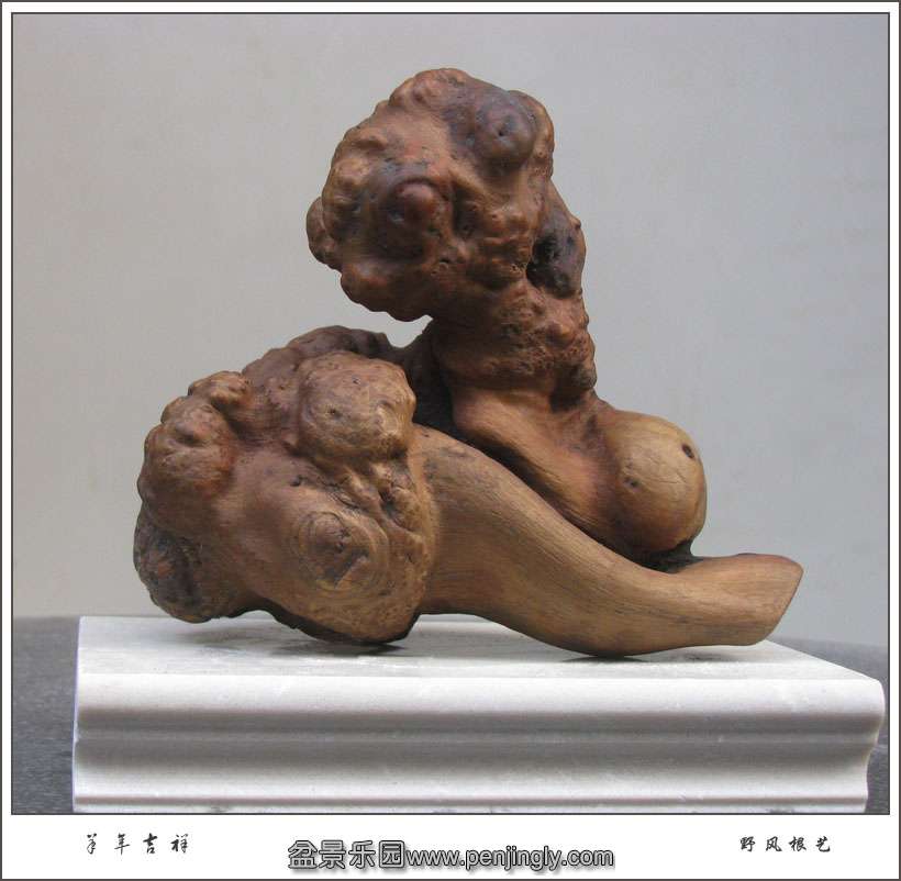 С12cm2015ڳһ.jpg