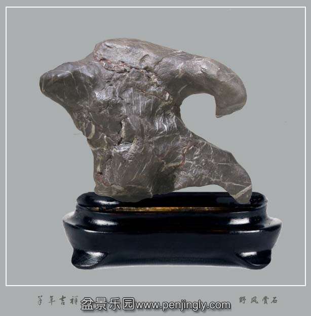 ʯ꼪20cmʯ.jpg