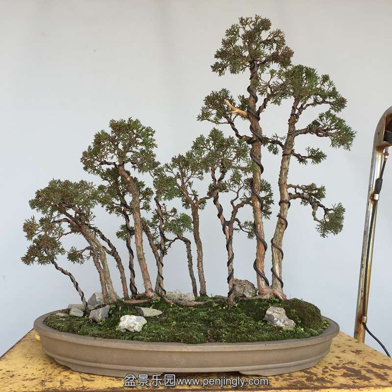 ��Ƭ 214_����.jpg