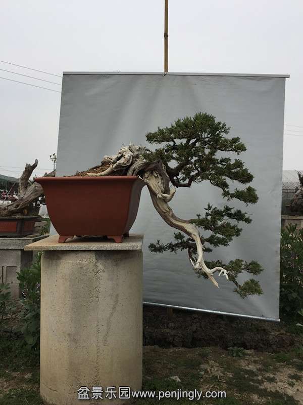 ��Ƭ 209_����.jpg