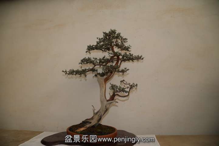 ���� IMG_1644.JPG