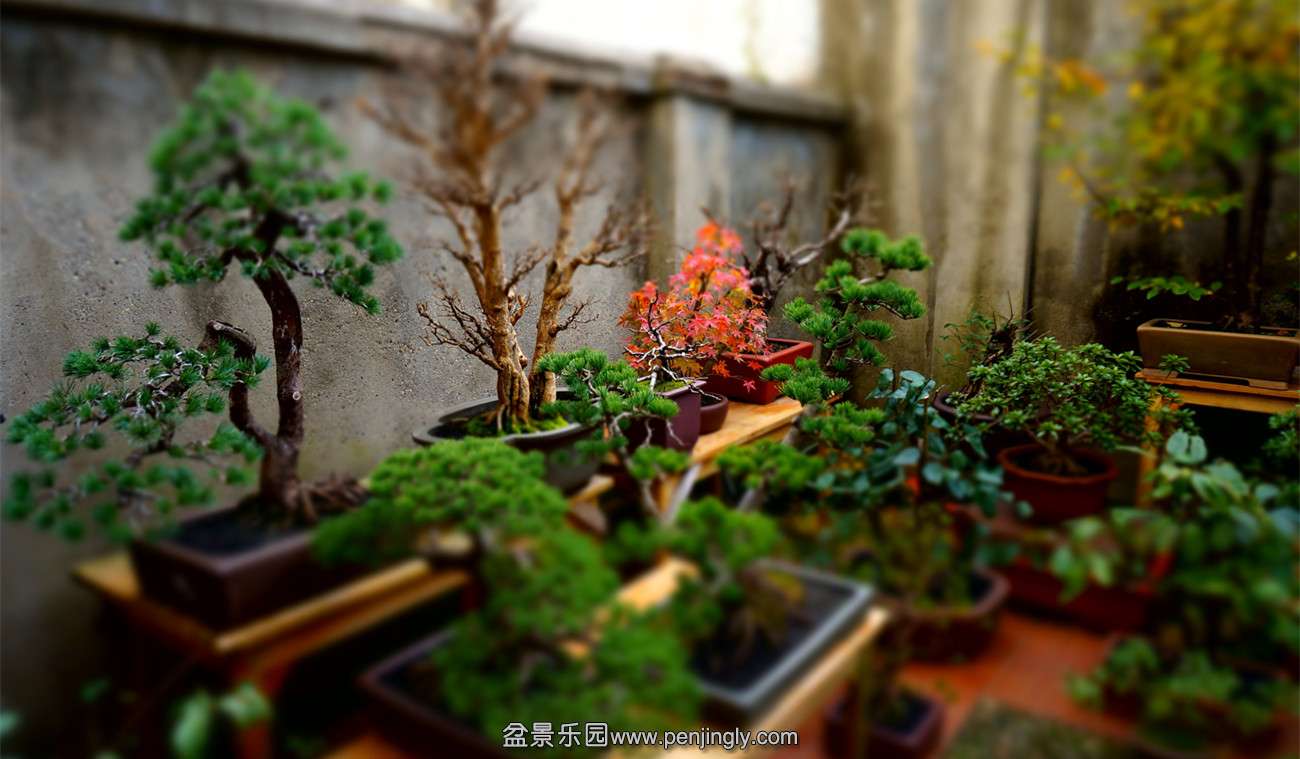 DSC00119.JPG