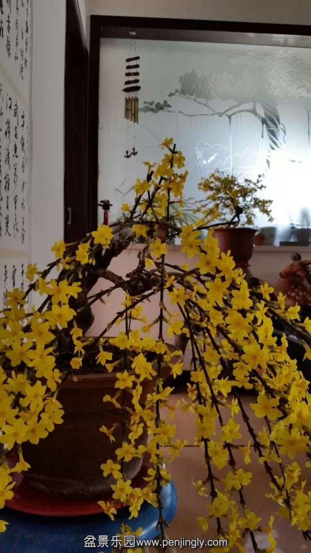 ӭ