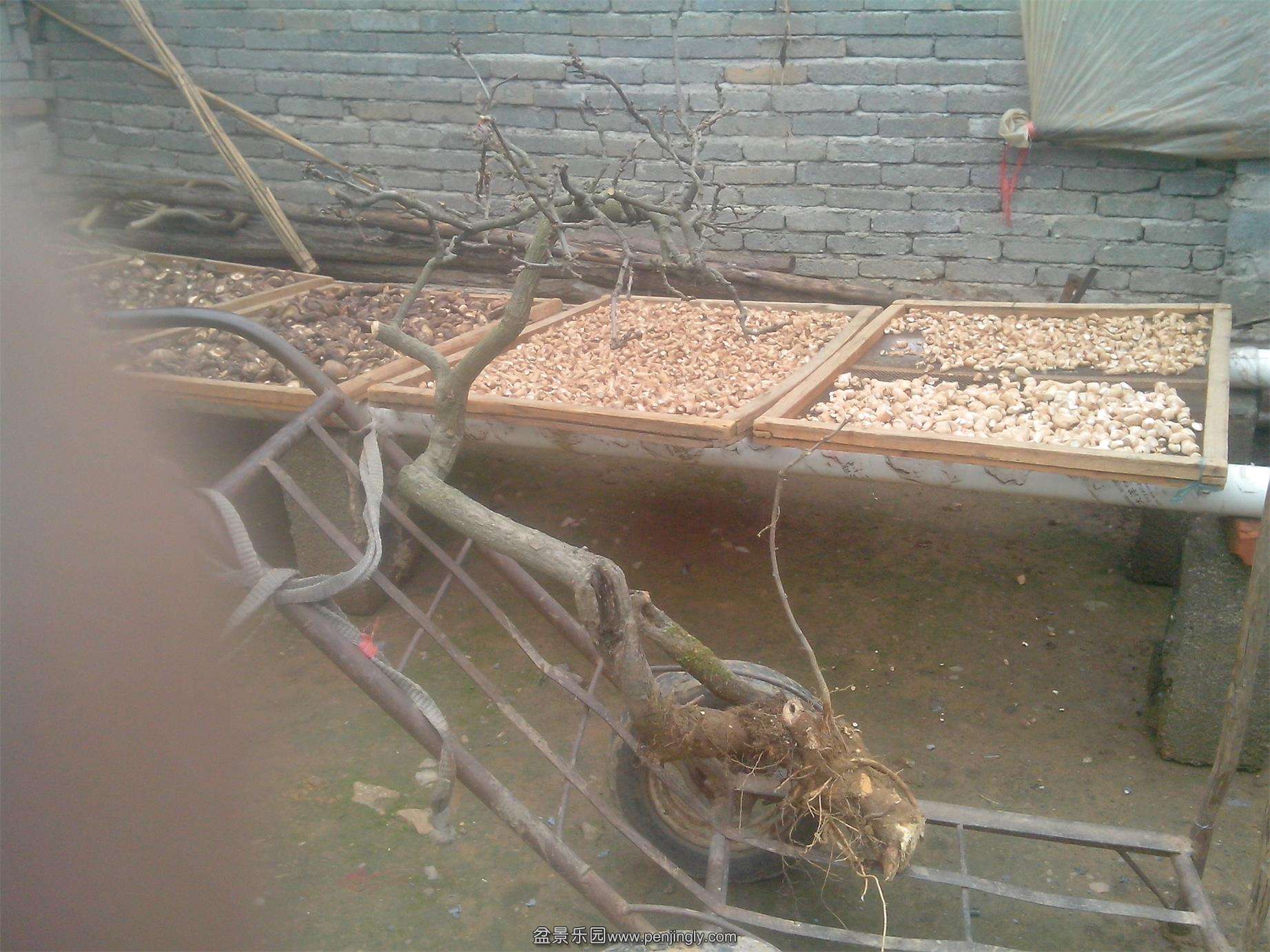 IMG20150222003.jpg