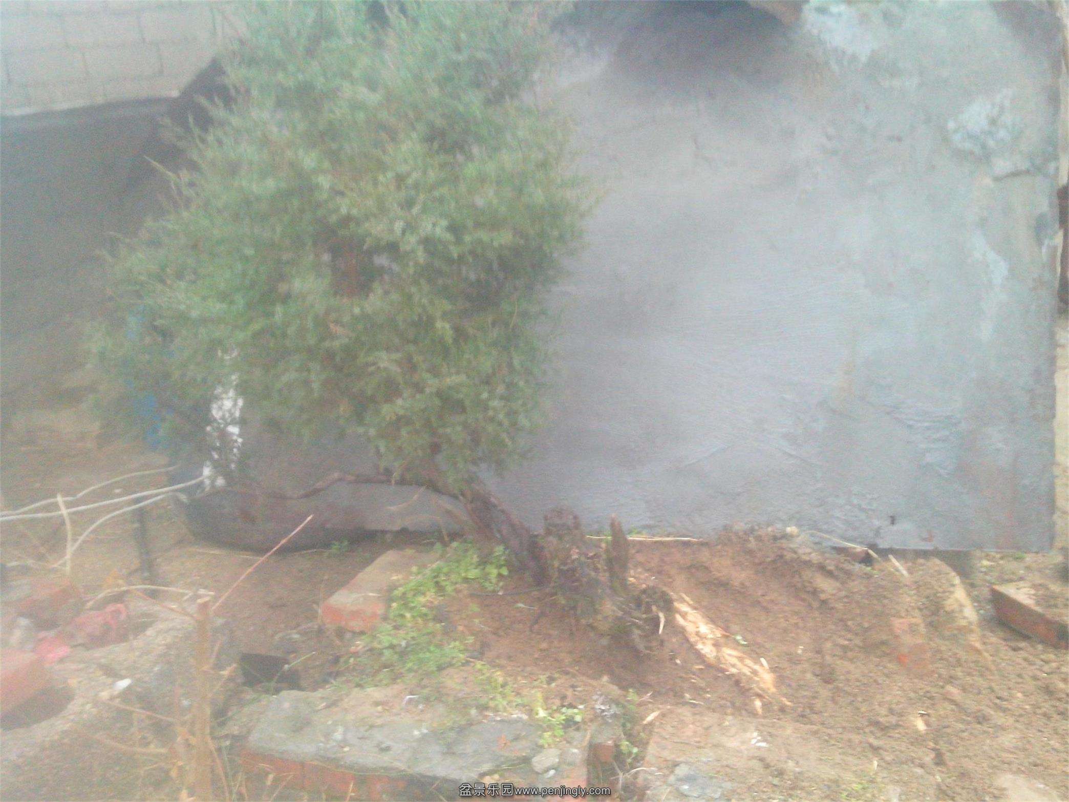 IMG20150220001.jpg
