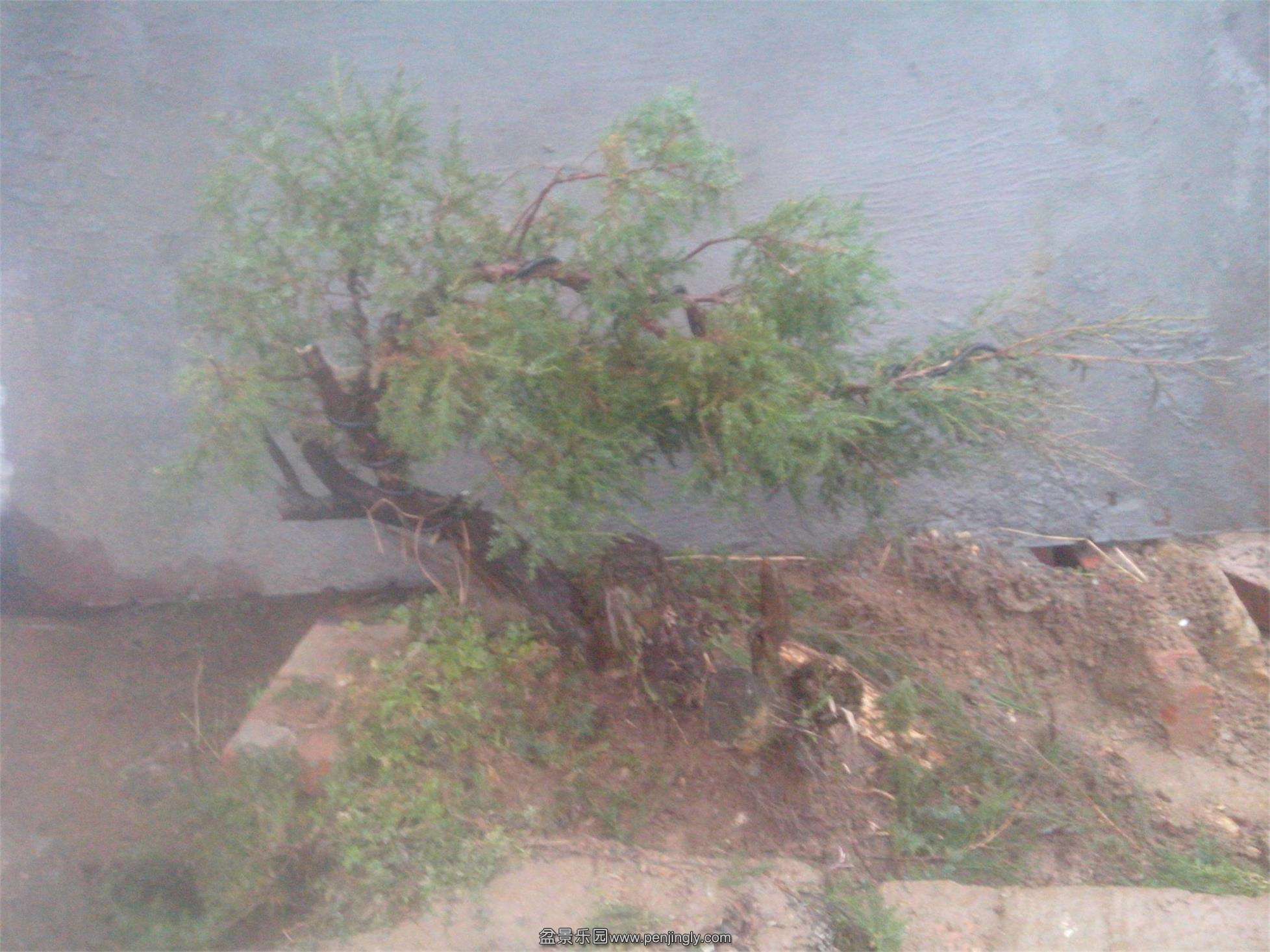 IMG20150220003.jpg