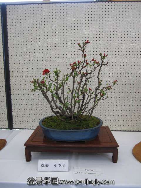 psb (2).jpg