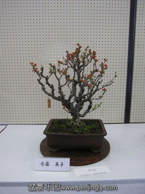psb (8).jpg