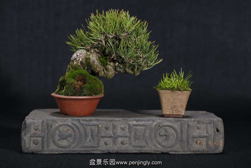 2015-02-26 2015-02-2603.jpg