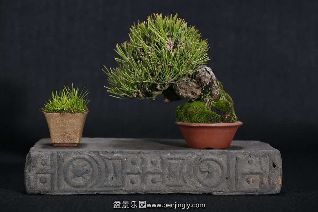 2015-02-26 2015-02-2604.jpg