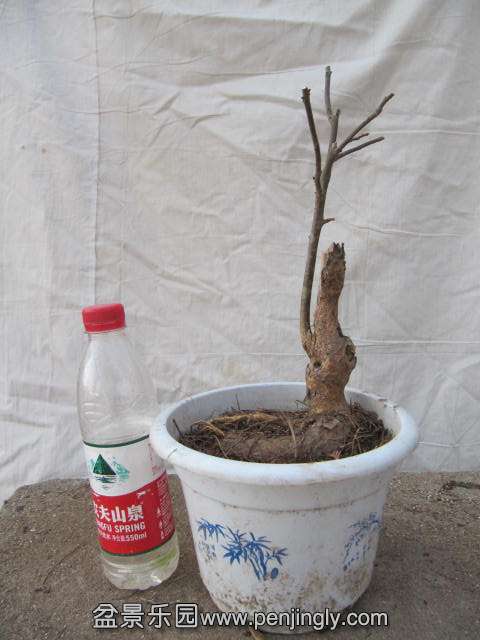 5Ԫ.JPG