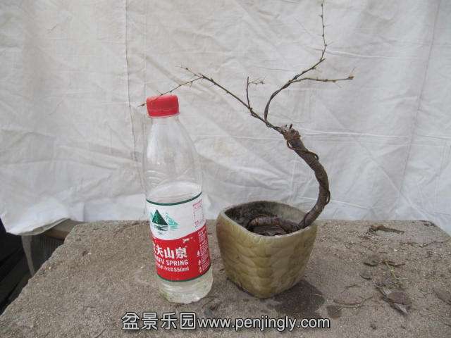 ȸ16Ԫ (1).JPG