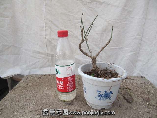 ӭ10Ԫ.JPG