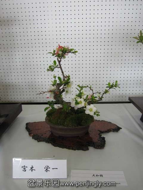 psb (20).jpg