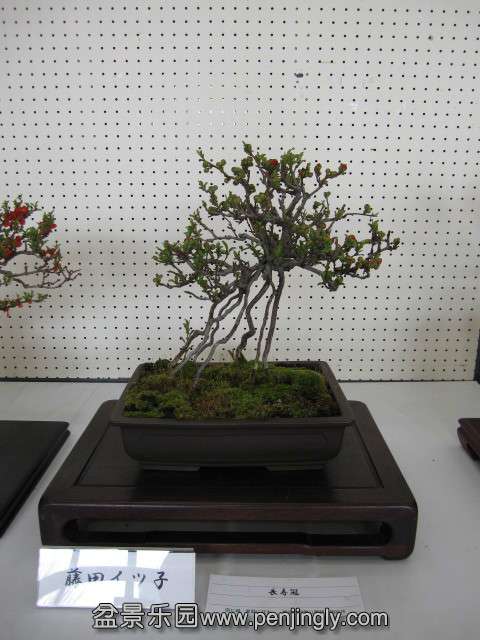 psb (29).jpg