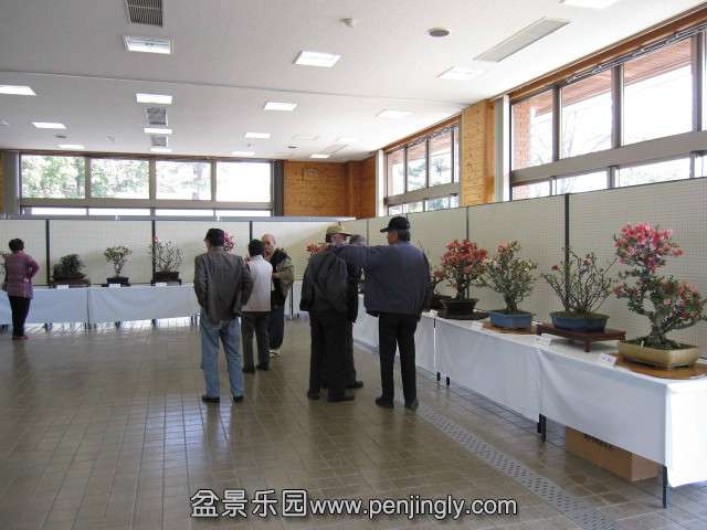 psb (42).jpg