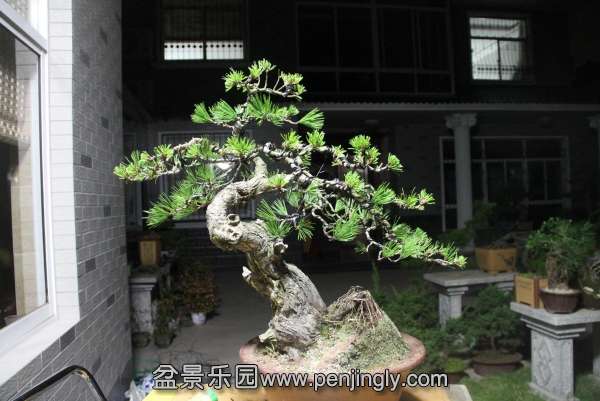 233102u6ajm3njv6lat6mq.jpg.thumb.jpg