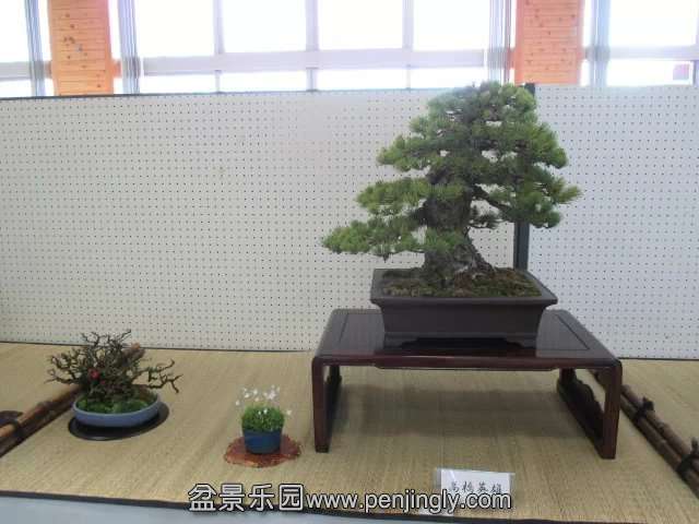 psbCAM2979Y.jpg