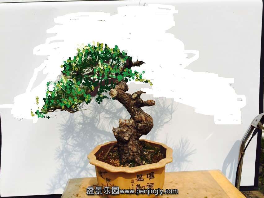 123620hwxcda8ijsp9tfmj - ����.png