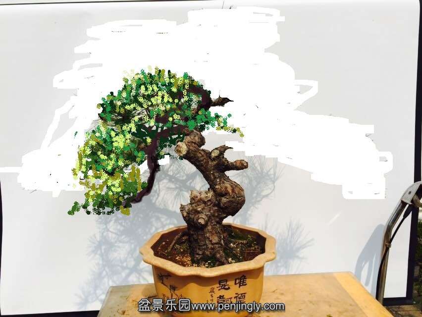 123620hwxcda8ijsp9tfmj - ����.png