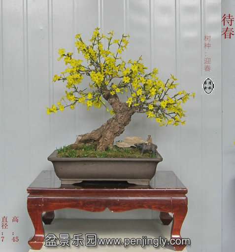 IMG_7941_.JPG