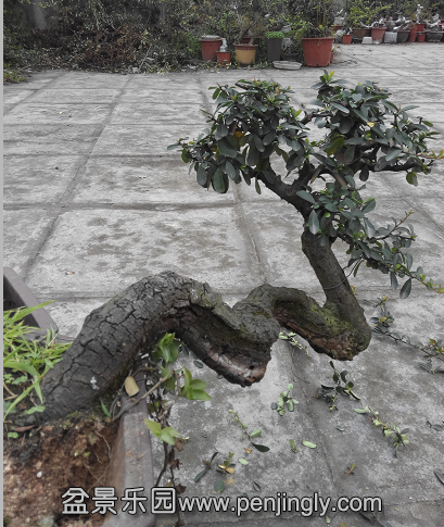 QQͼƬ20150302230727.png