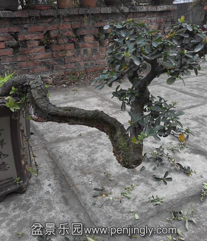QQͼƬ20150302230753.png