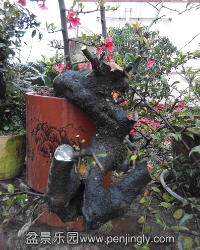 QQͼƬ20150302230849.png
