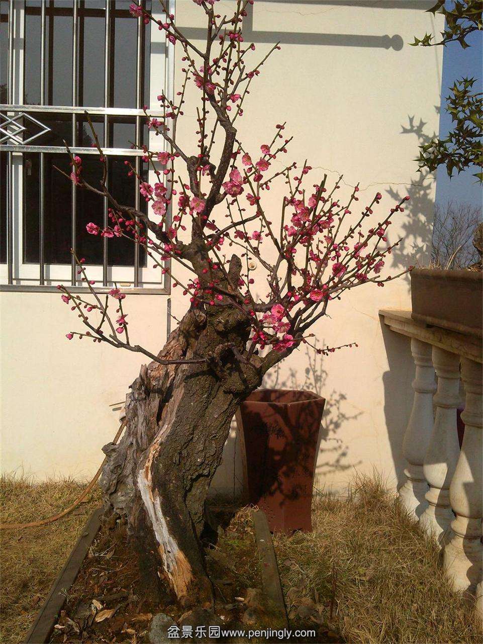 ÷׮26IMG_20150218_092932_ͼ.jpg