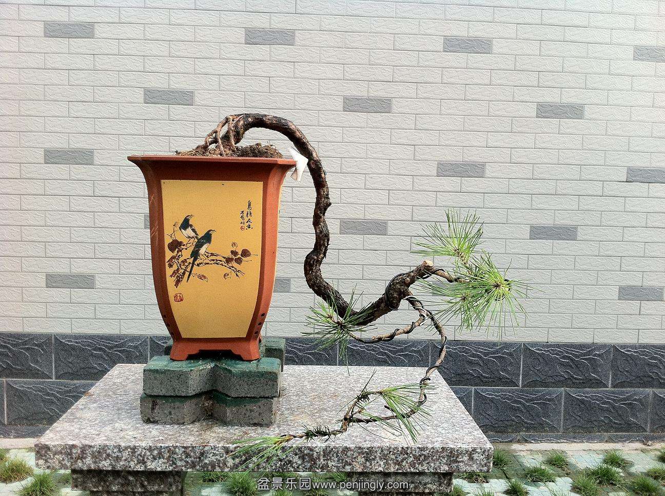 20120704���ɻ�ɽ���·��� 018.jpg